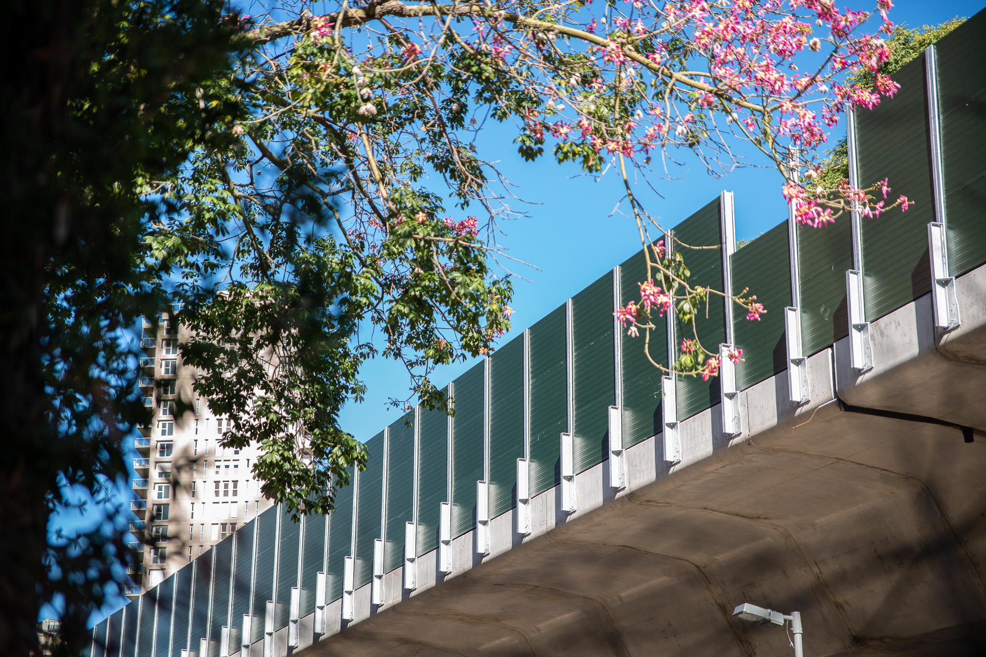 Acoustic IMP ceiling panels